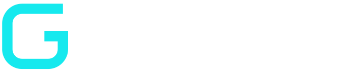 国信华软官网logo
